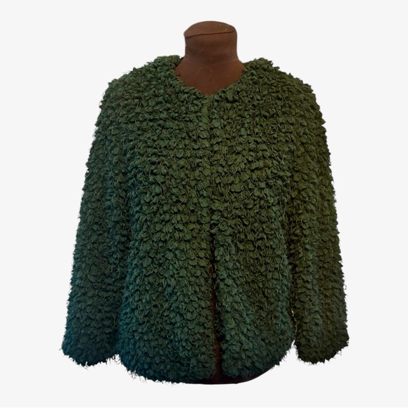 Zara Textured Forest Green Fuzzy Teddy Lined Jacket Coat, Womens size Small - Picture 12 of 12